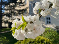 Ostern 2022 | Impressionen