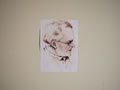 Bilder Ausstellung 